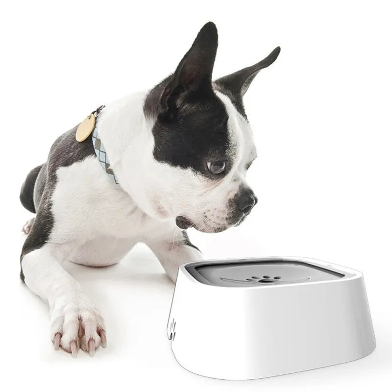 Drip Defender Dog Bowl